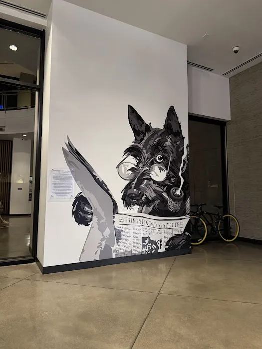 Yoga Hause Picture 2