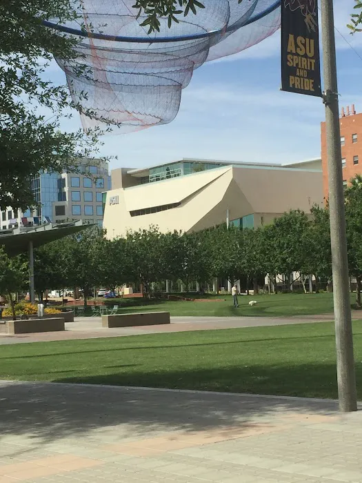 SDFC - Downtown Phoenix Picture 5