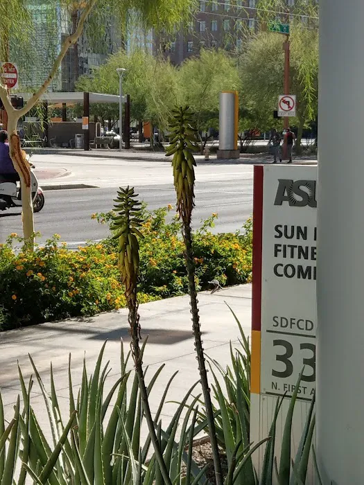 SDFC - Downtown Phoenix Picture 9