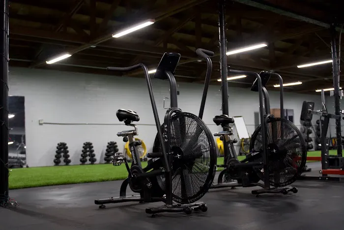 University of SAQ Picture 2