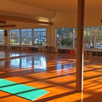 Phoenix Chi Yoga ico