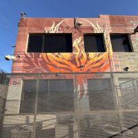 Body & Soul Transformation ico