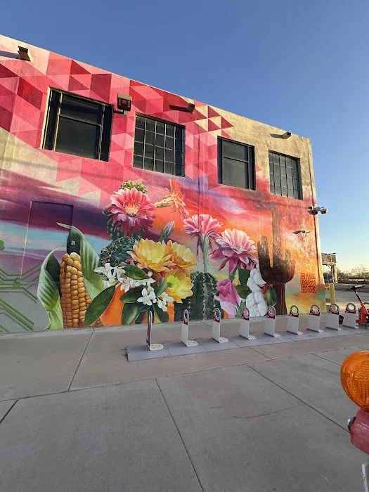 Body & Soul Transformation Picture 4