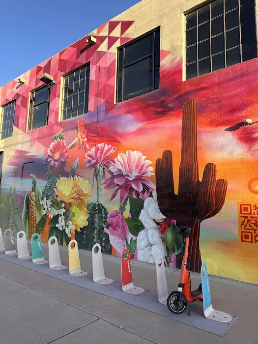 Body & Soul Transformation Picture 5