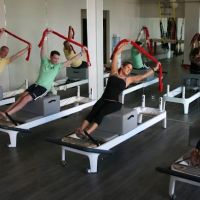 Bird Dog Pilates & Fitness ico