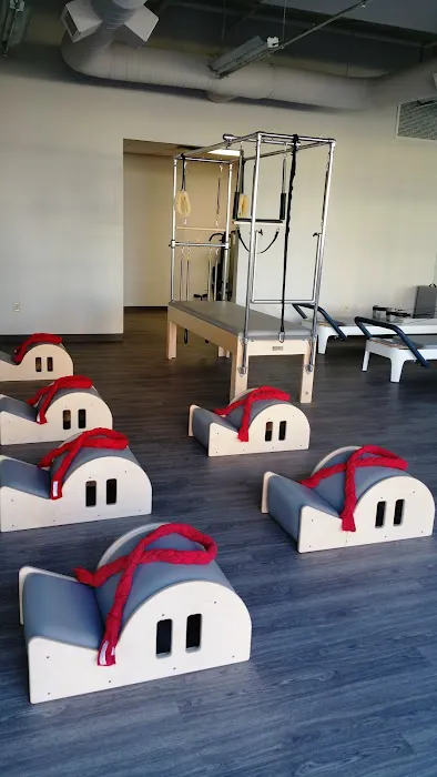 Bird Dog Pilates & Fitness Picture 4