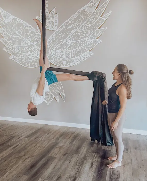 Elevate Yoga & Wellness — Aerial Yoga Studio in Phoenix, Arizona Picture 4