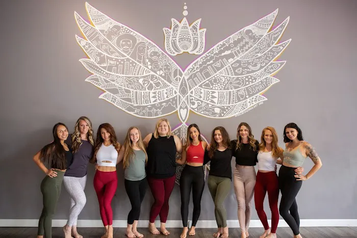 Elevate Yoga & Wellness — Aerial Yoga Studio in Phoenix, Arizona Picture 8