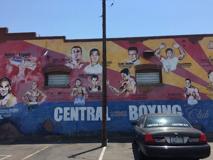 Central Boxing Gym Picture 2