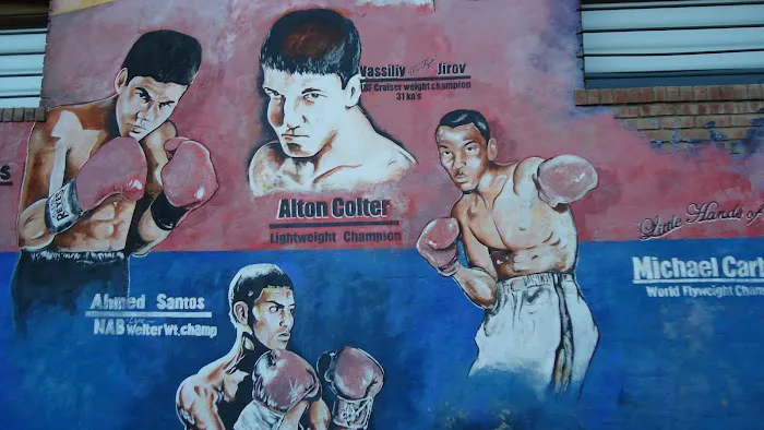 Central Boxing Gym Picture 10