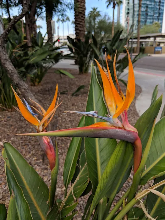 Urban Yoga Picture 2