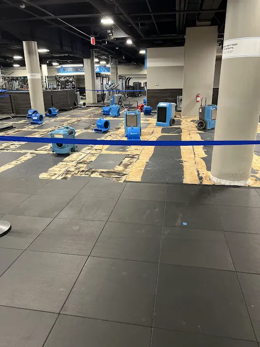 EōS Fitness Picture 3