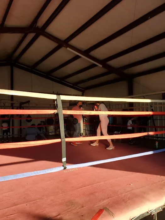 Fuentes Boxing Picture 4