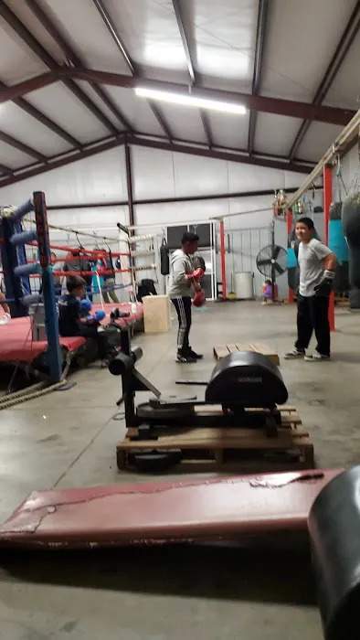 Fuentes Boxing Picture 3