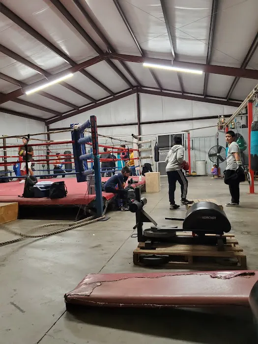 Fuentes Boxing Picture 9