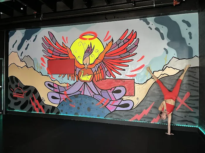 Black Swan Yoga - Midtown Picture 8