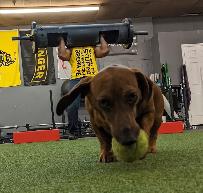 Liberty Performance Training Picture 10