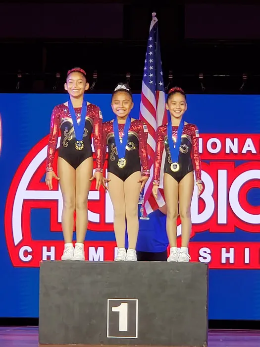 Aero Art Fitness Picture 3