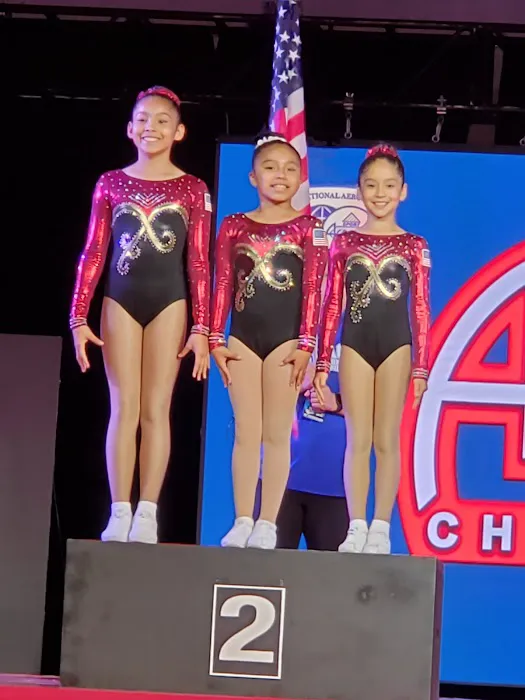 Aero Art Fitness Picture 1