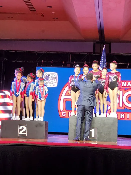 Aero Art Fitness Picture 4