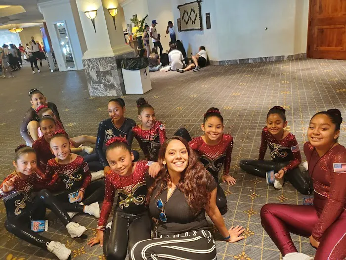 Aero Art Fitness Picture 7