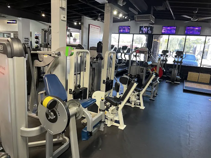 MUSCLETOPIA USA Picture 1