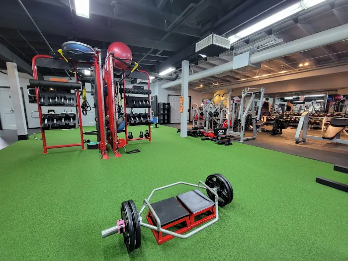 MUSCLETOPIA USA Picture 2