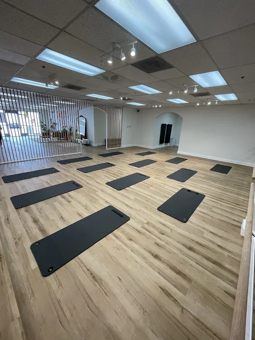 desert mvmt Picture 6