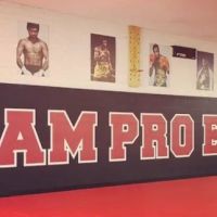 Pro Edge Boxing MMA & Brazilian Jujitsu ico