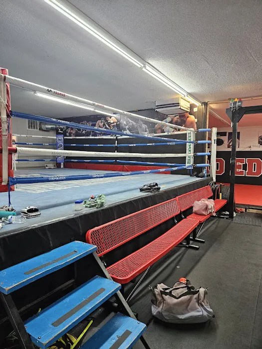 Pro Edge Boxing MMA & Brazilian Jujitsu Picture 10