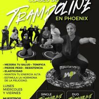 will power fitness studio ico