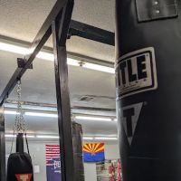 10-0 Boxing Gym ico