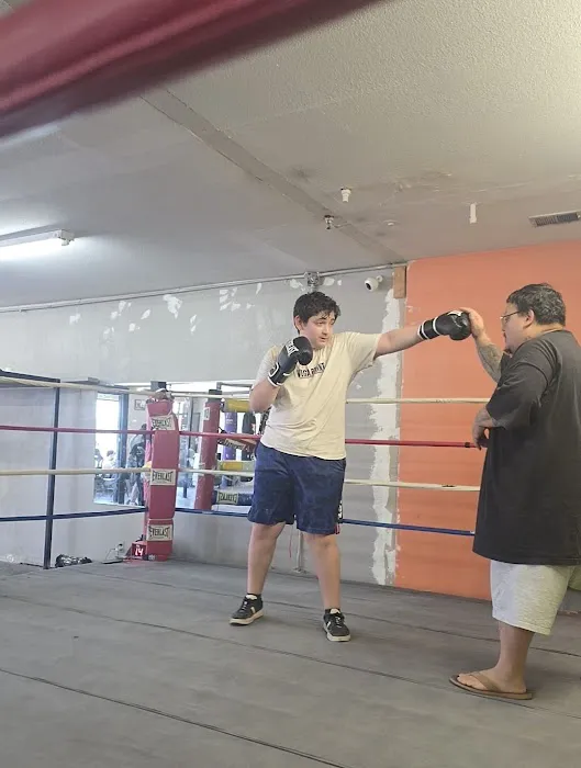 10-0 Boxing Gym Picture 3