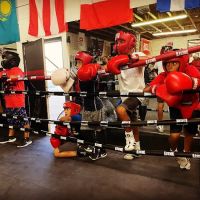 Old School Boxing Club ico