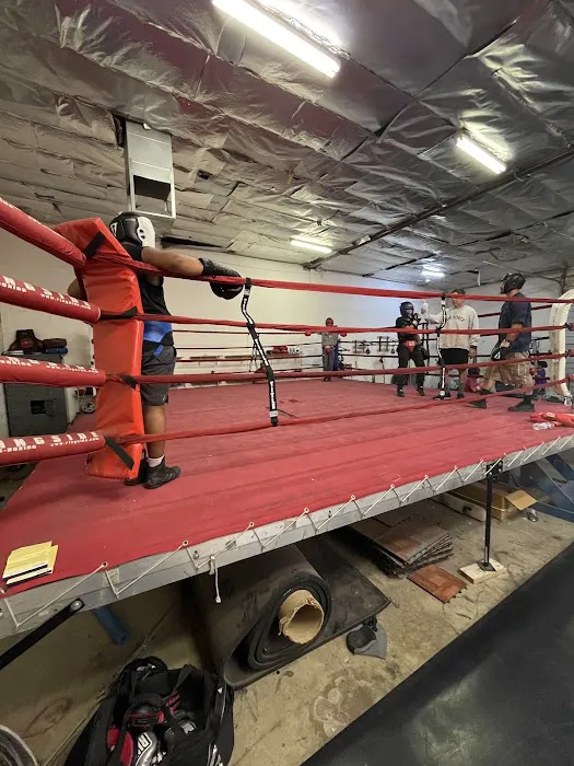 Phoenix Sports Academy Picture 4