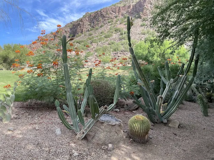 Metta Yoga Picture 7