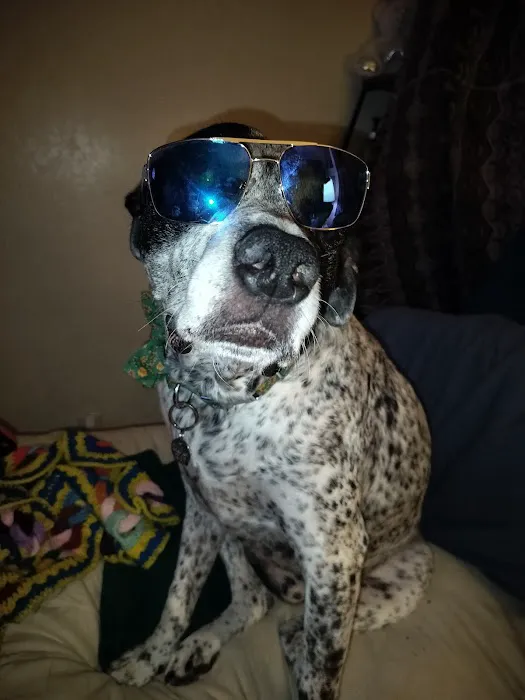 Remedy Pilates & Barre | Arcadia Picture 5