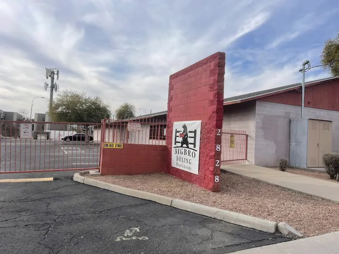 Big Bro Boxing Picture 5