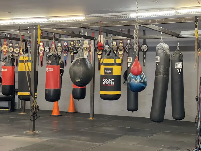 Big Bro Boxing Picture 6