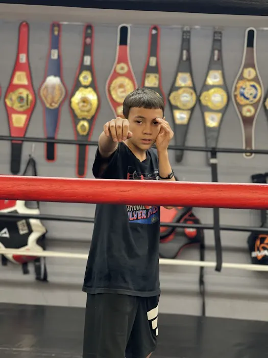 Big Bro Boxing Picture 7