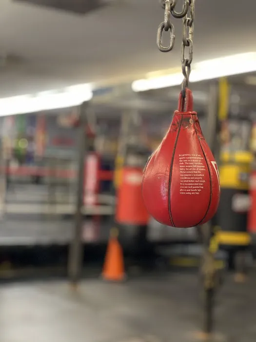 Big Bro Boxing Picture 8