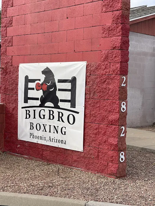 Big Bro Boxing Picture 9