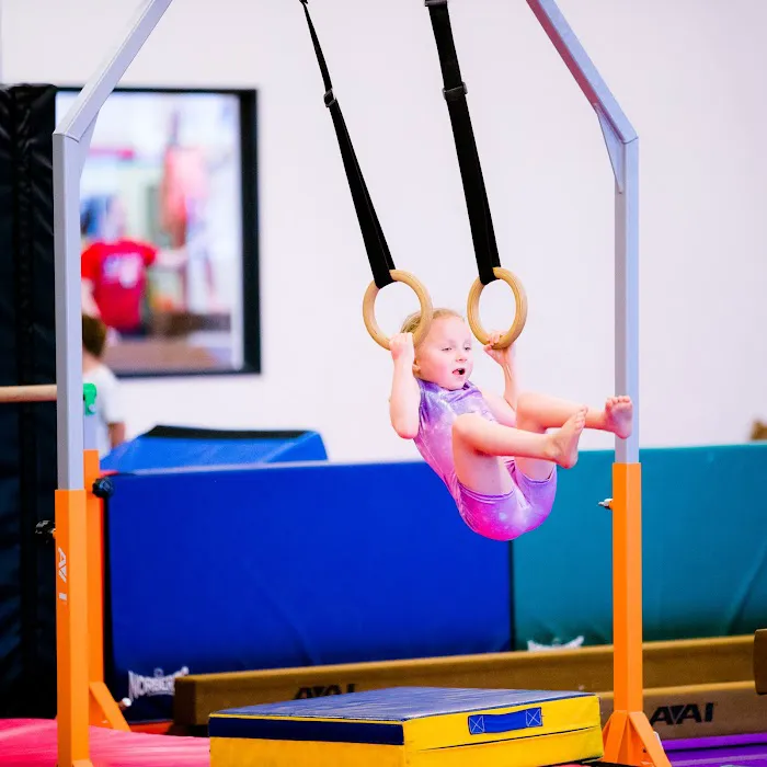 Impact Gymnastics Picture 4