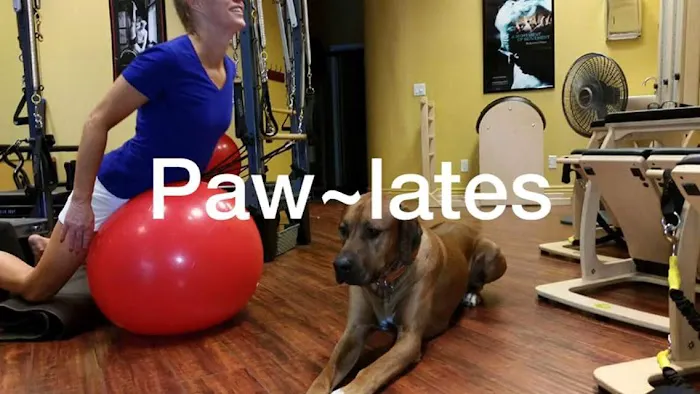 Lifestyle Pilates Picture 4