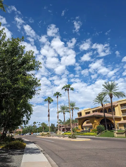 Your Strength Movement Coaching Picture 3