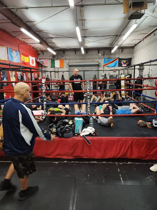 Hard Knocks Gym Picture 2