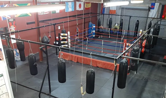 Hard Knocks Gym Picture 1