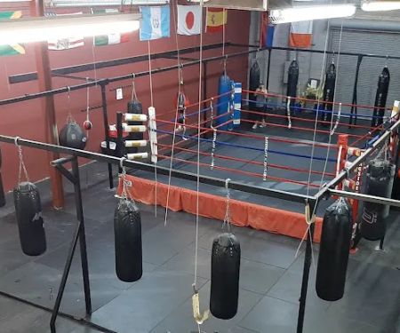 Hard Knocks Gym