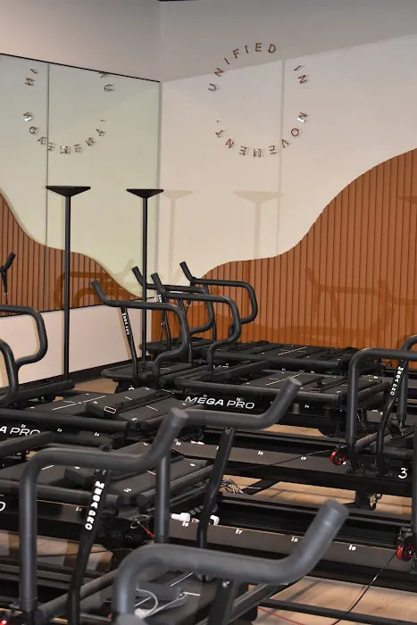 Body Politik Picture 3