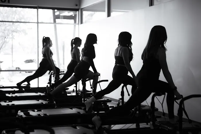 Body Politik Picture 2